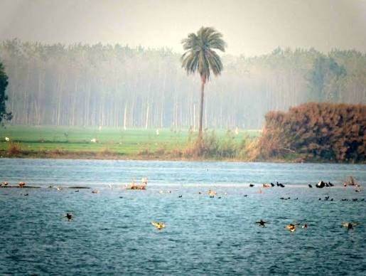 Wedding destination in Kabini, Karnataka