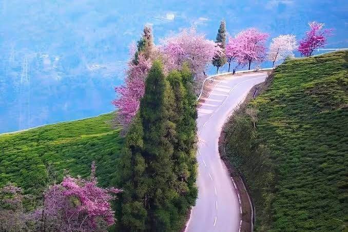 Diphu, Assam