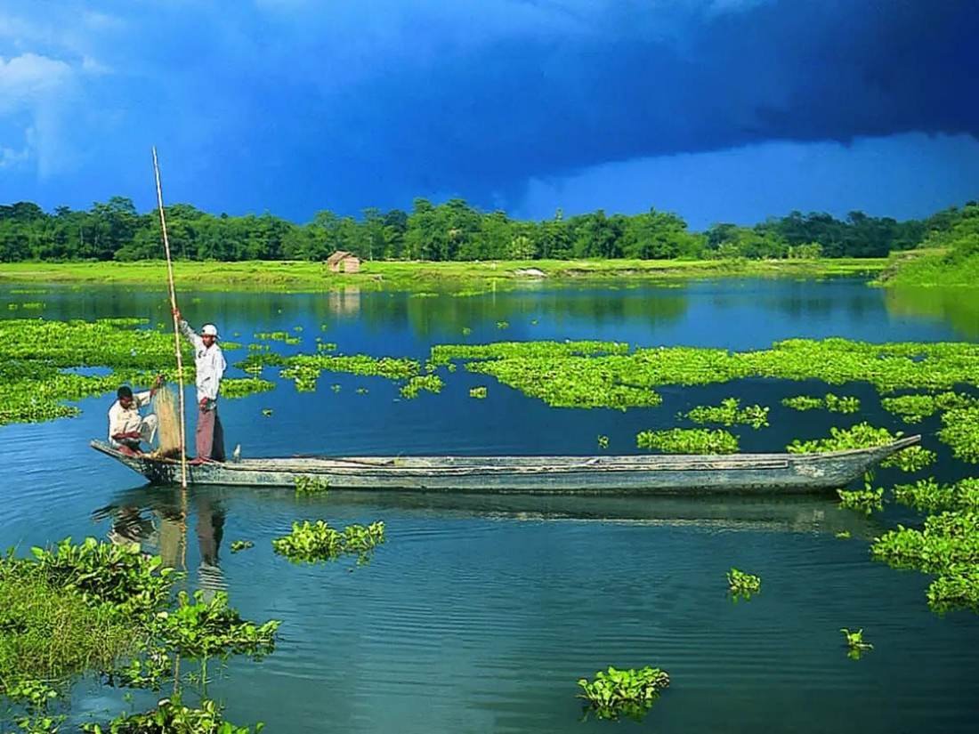 Rewari, Haryana